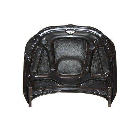 Capot Carbone BMW E60 C/T M5