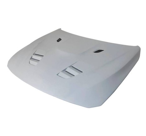 Capot Fibre BMW F80 / F82 / F83 Look GTR