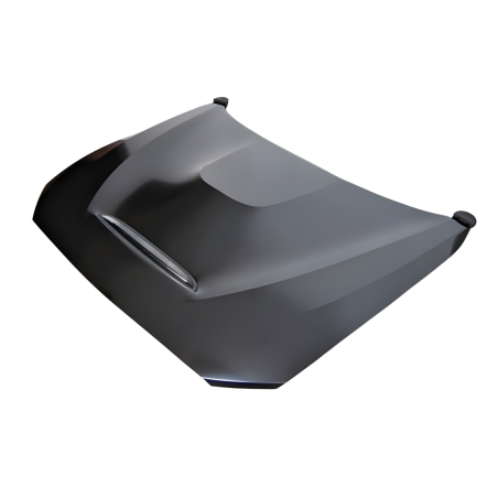 Capot BMW F20/F21 12-19 F22/F23 2014+ F87 M2 Look GTS Métal