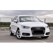 A1
