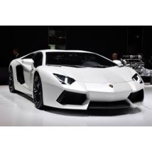 Gallardo
